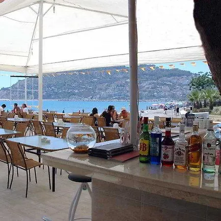 Best Beach Hotel 3* 알란야